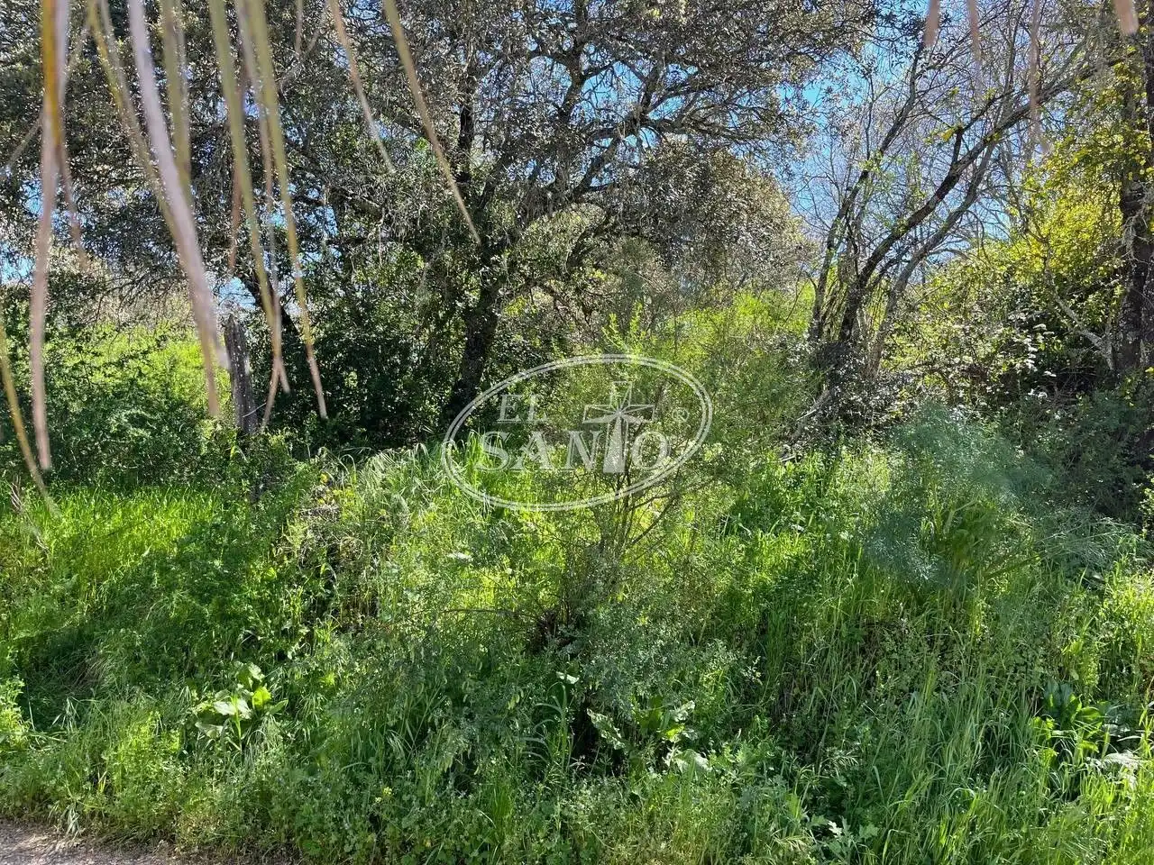 Grundstücke und Bauplätze zum Verkauf in DE LOS ALMENDROS, imagen 4