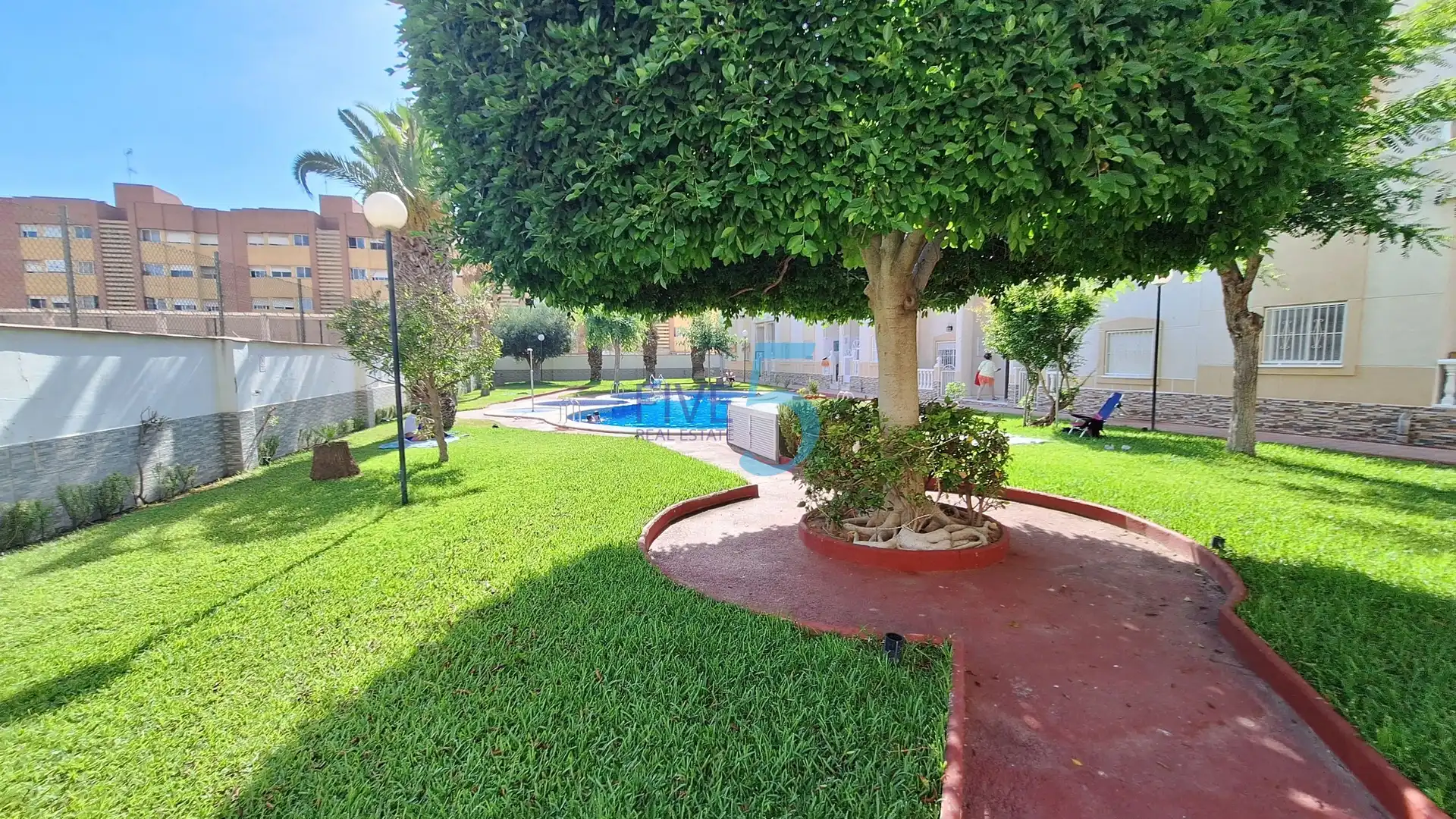 Piscina de Estudi en venda en Torrevieja amb Aire condicionat, Piscina i Balcó