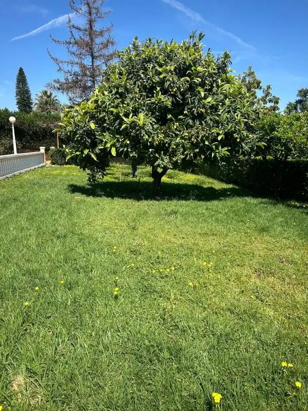 Villa con terrazza in vendita a Urb. Tancat de l'Alter, imagen 43