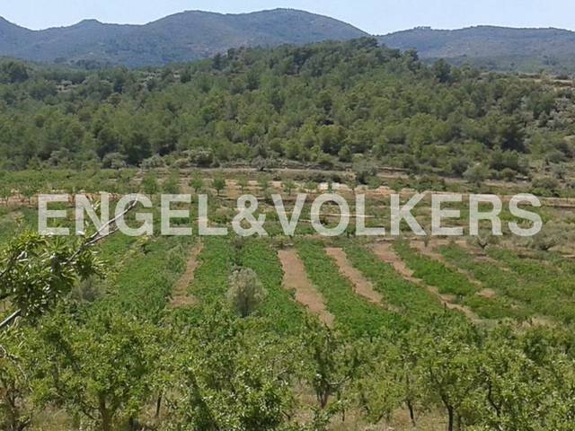Terreno residencial en Venta en Masía Escrich en Segorbe