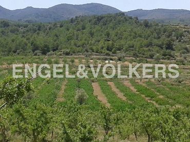 Terreno residenziale in vendita a Masía Escrich