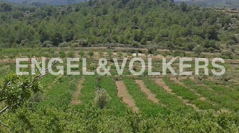 Terreno agrícola y forestal muy cerca de Geldo