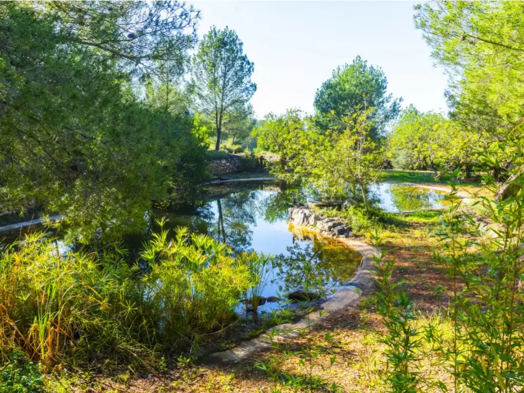 Jardí de Casa o xalet en venda en Borriol