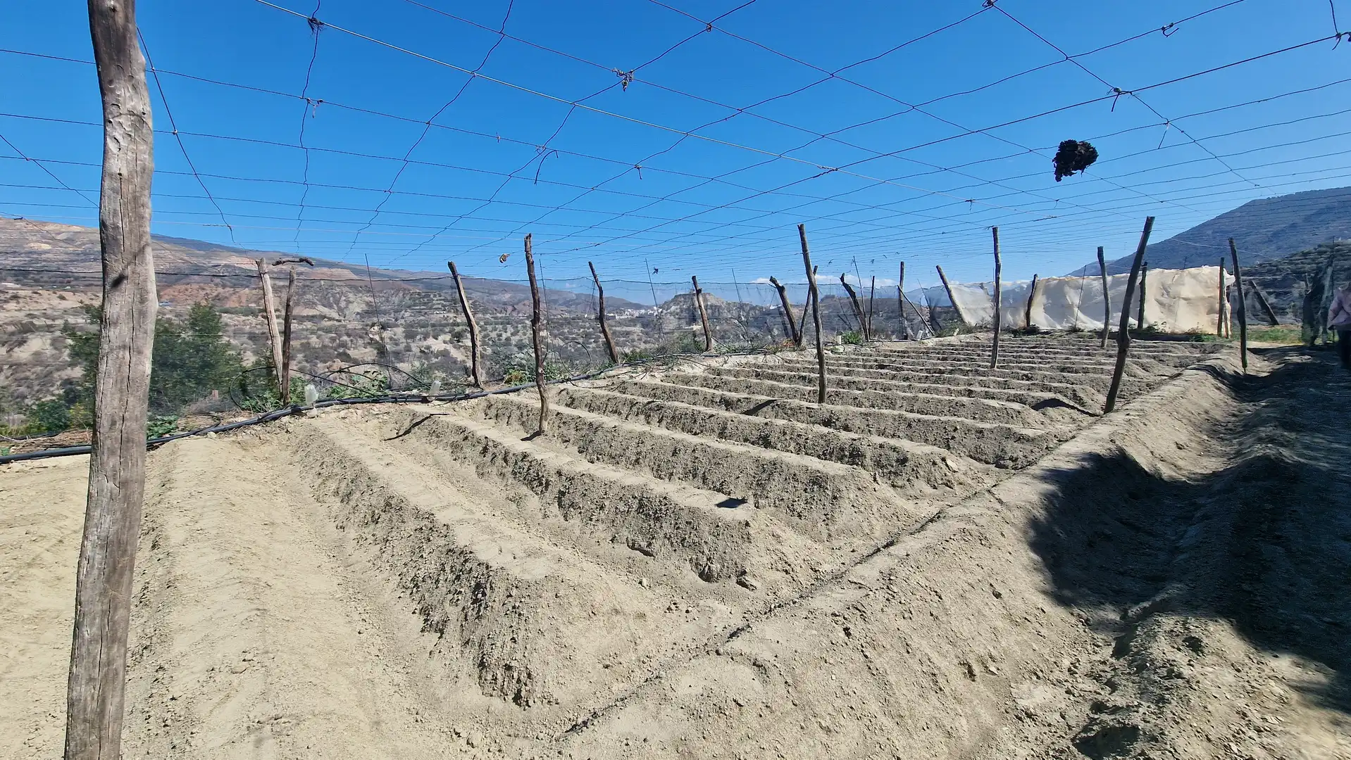 Jardí de Finca rústica en venda en Canjáyar amb Jardí privat, Terrassa i Traster