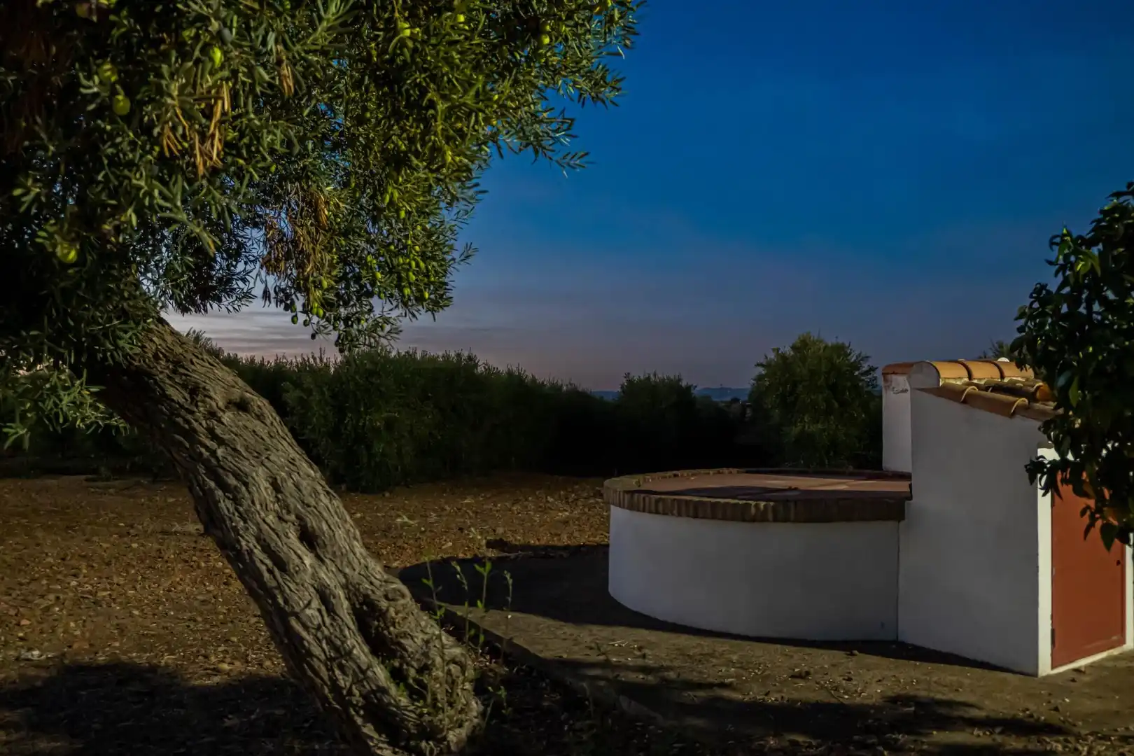 Jardín de Finca rústica en venta en Carmona con Calefacción, Jardín privado y Terraza