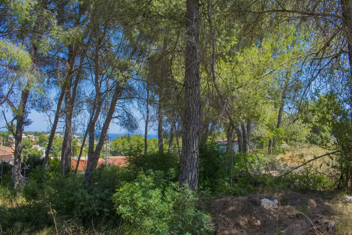Wohnbaugrundstück zum Verkauf in La Fustera, imagen 5
