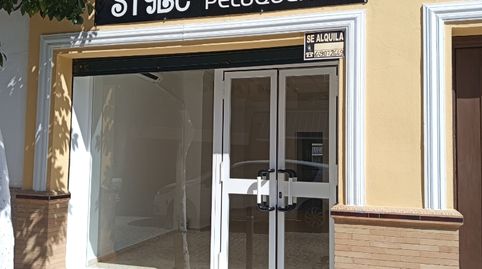 Foto 4 von Geschaftsraum zur Miete in Calle Real, 6, Burguillos, Sevilla