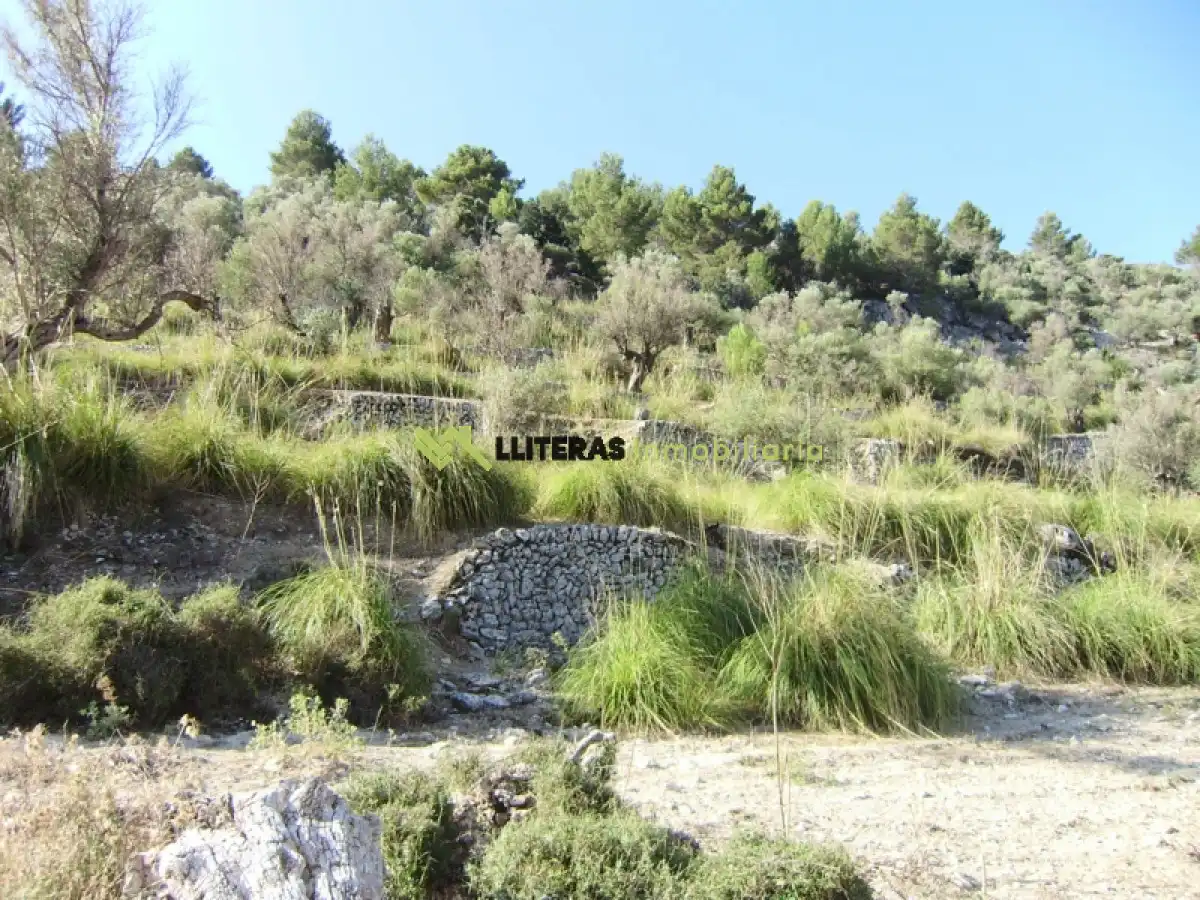 Maison rustique à vendre à Bunyola, imagen 10