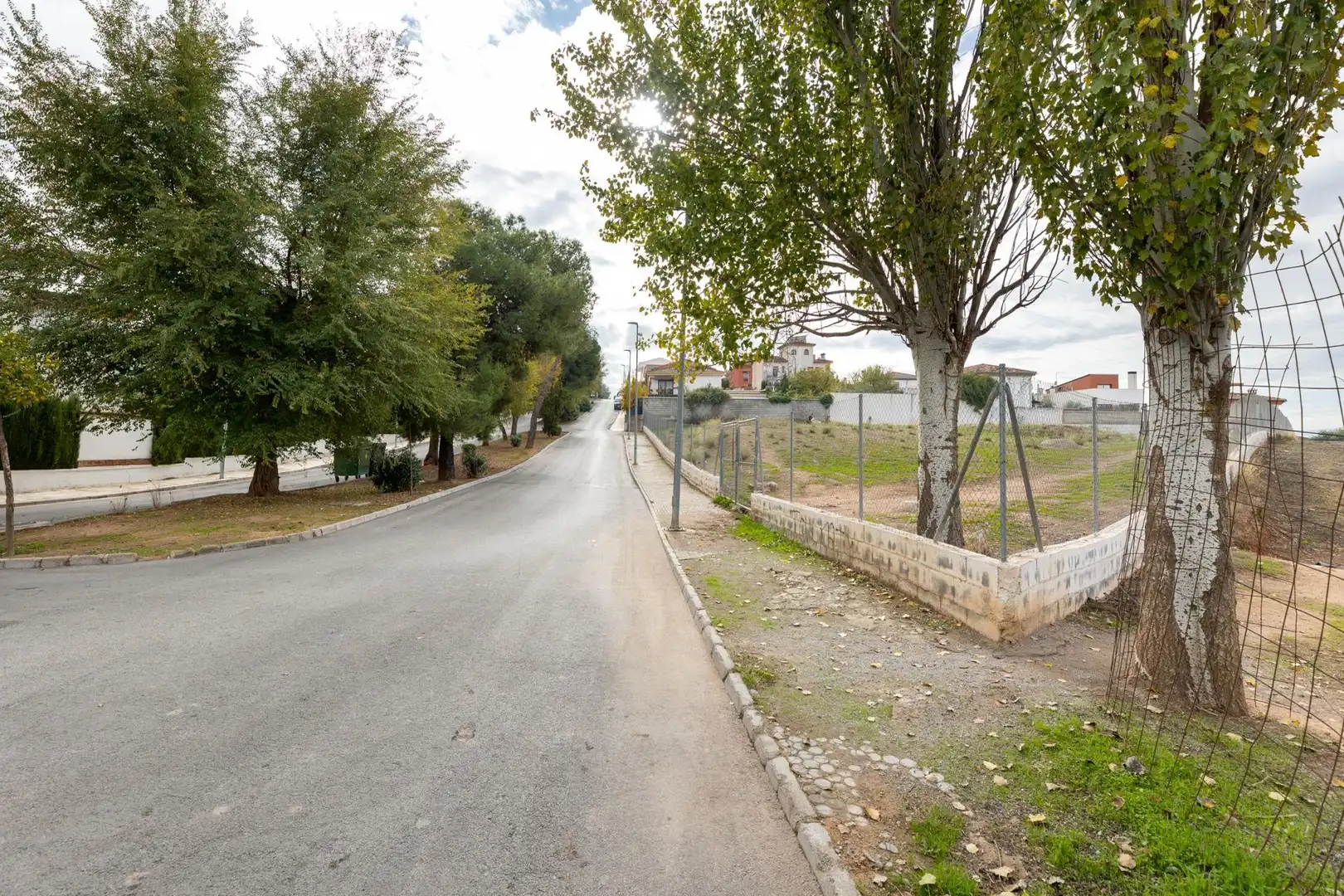 Wohnbaugrundstück zum Verkauf in Avenida de los Olivos 6C, imagen 2