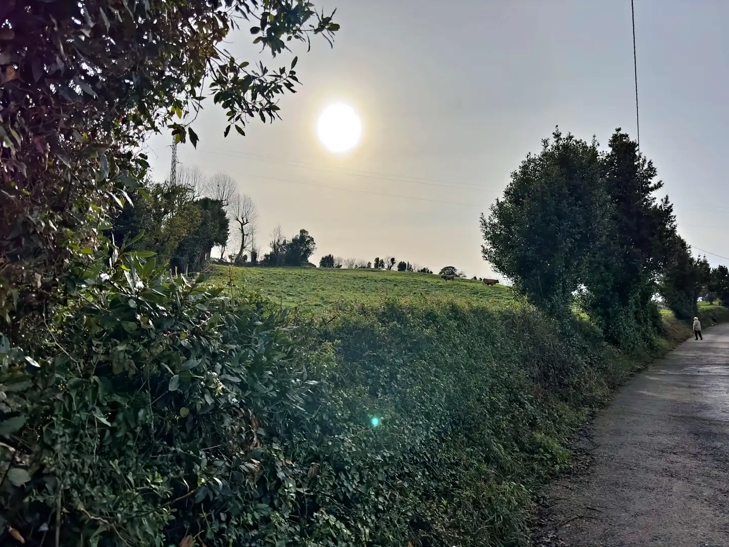 Terreno residenziale in vendita a Rural, imagen 5