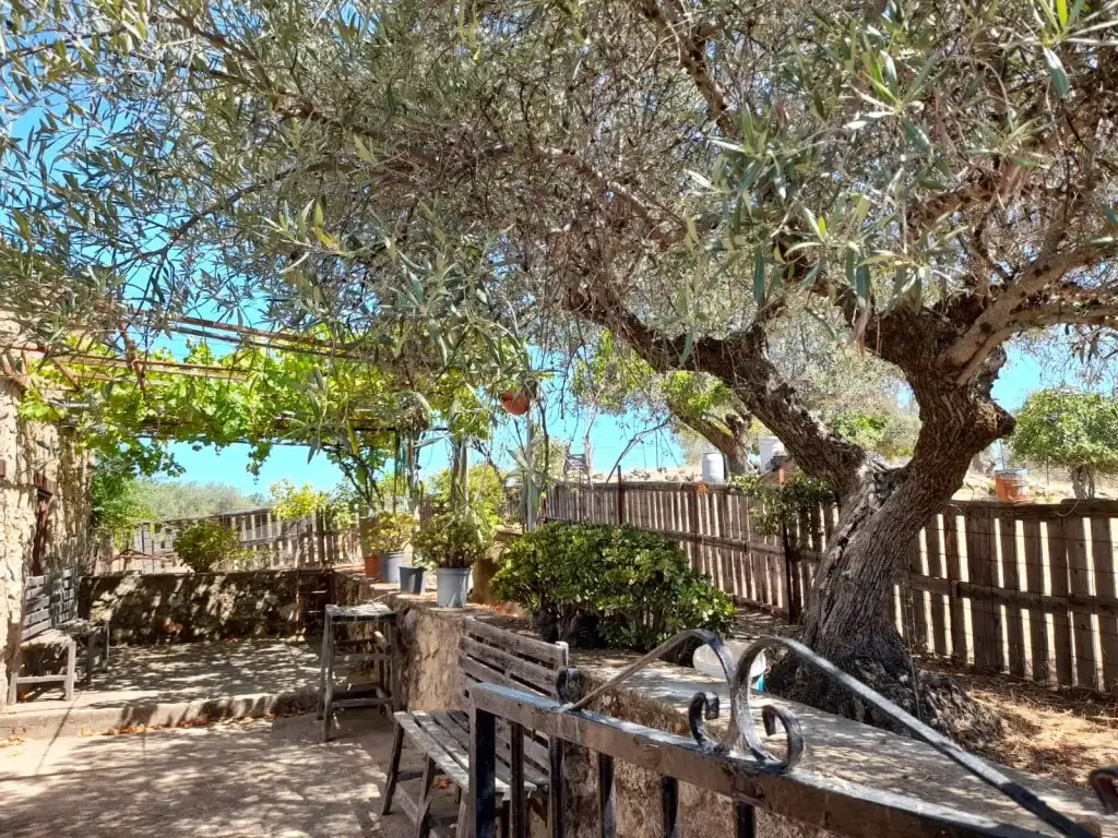 Terrassa de Casa o xalet en venda en San Vicente de Alcántara