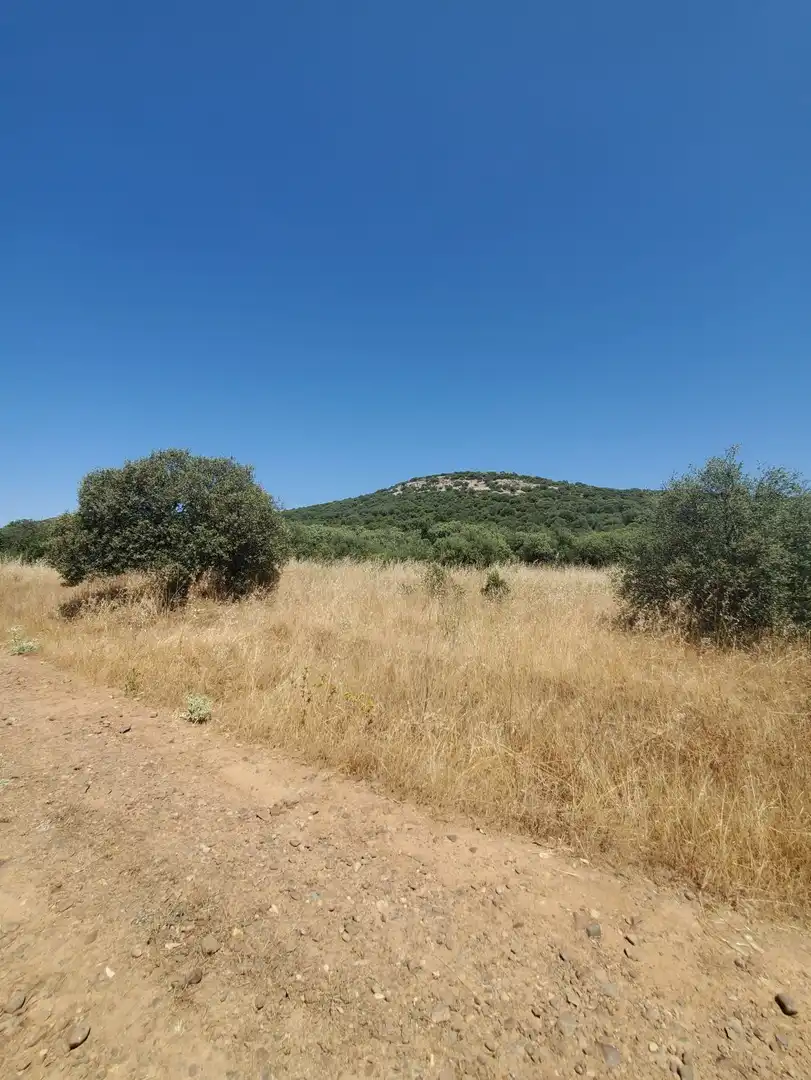 Finca rústica en venta en Área Rural-Valverde-Las Casas