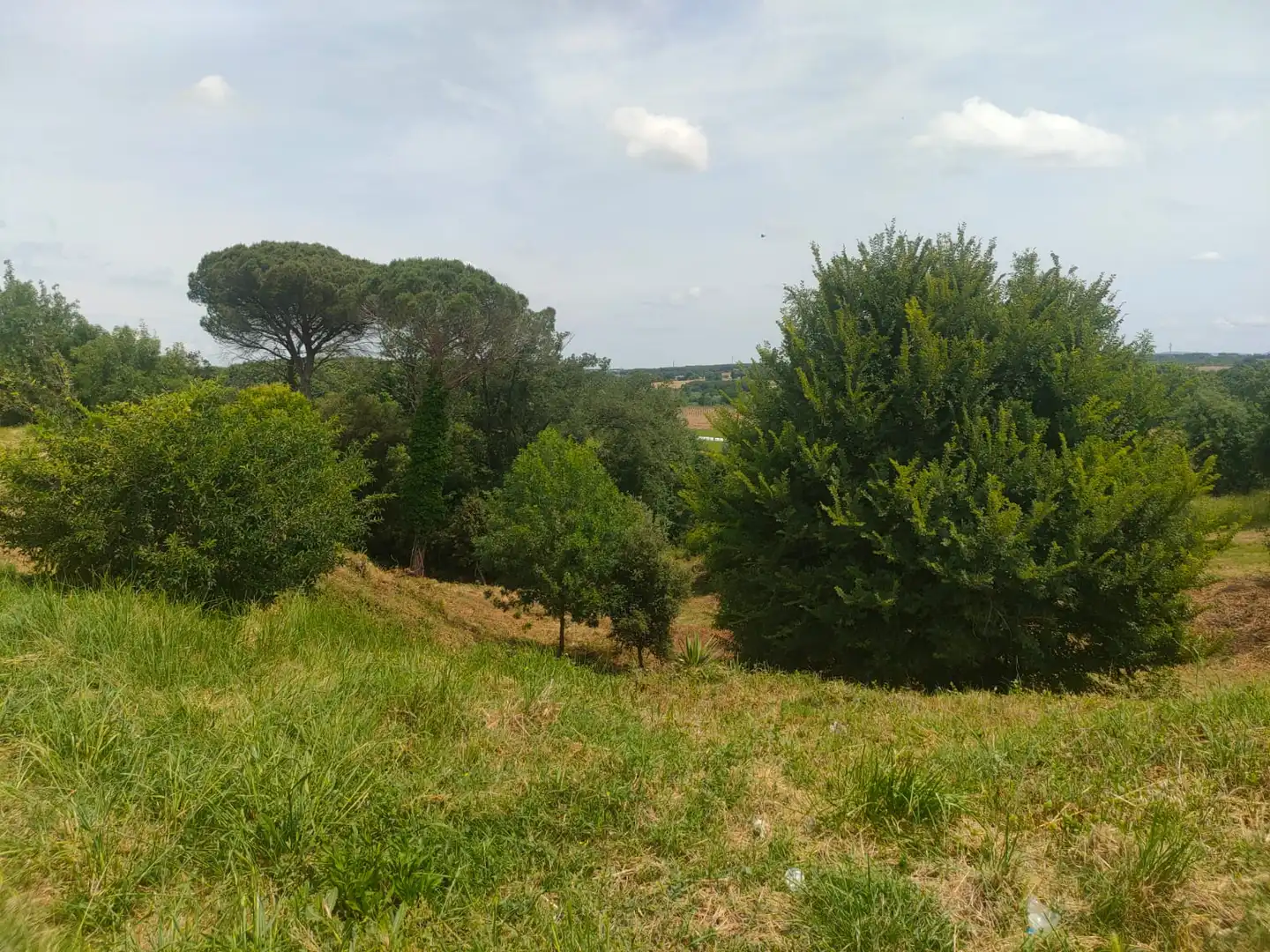 Residential land for sale in Avinguda Barceloneta, imagen 9