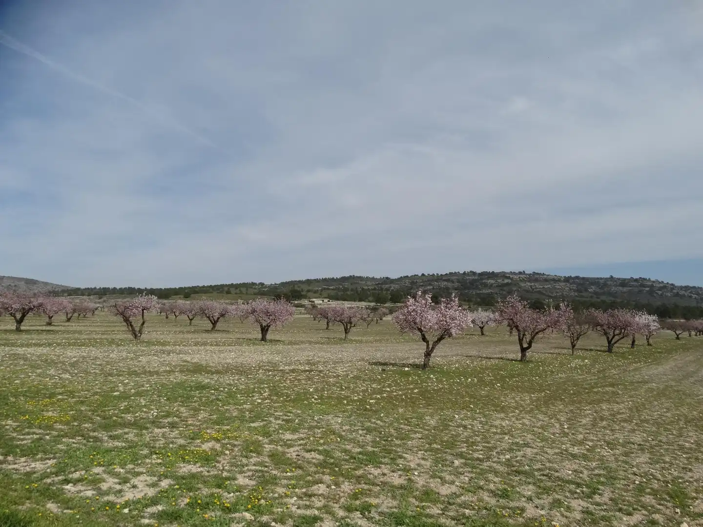 Terreni e lotti in vendita a Moratalla, imagen 9