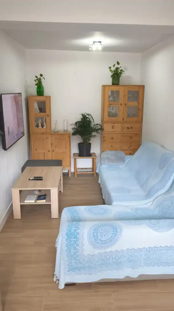 Sala de estar de Casa o chalet en venta en Las Palmas de Gran Canaria con Amueblado, Horno y Lavadora