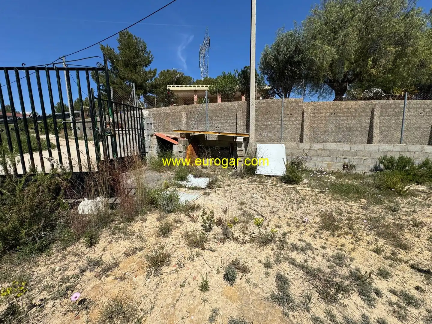 Terrain rustique à vendre à Los Felipes - Corral de Carmelo, imagen 7