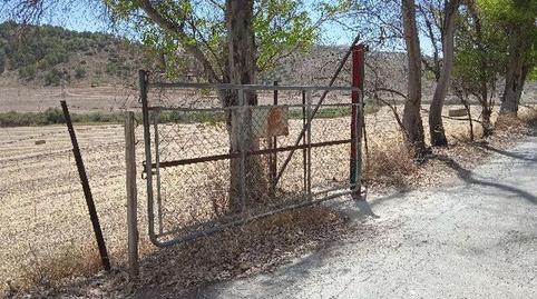 Photo 4 of Land for sale in El Jeme, Polígono 60, Morón de la Frontera, Sevilla