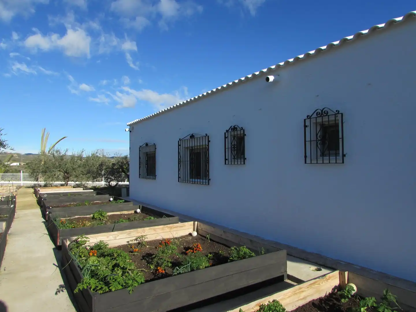 Exterior view of Country homes for sale in Los Gallardos  with Air Conditioner, Heating and Terrace