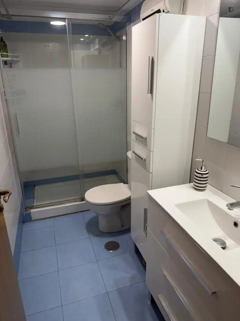 Bany de Apartament per a compartir en Alicante / Alacant amb Aire condicionat, Calefacció i Moblat