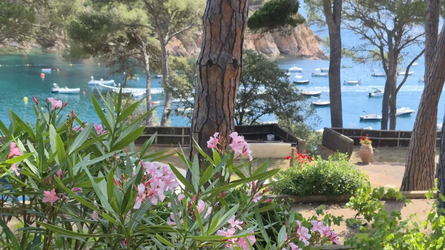 Jardí de Casa o xalet en venda en Palafrugell