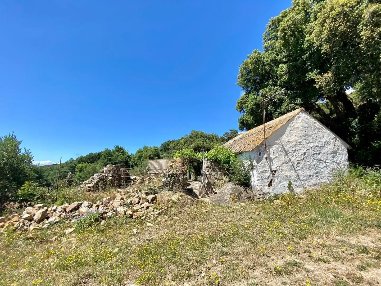 Finca rústica en venda a Tarifa ciudad