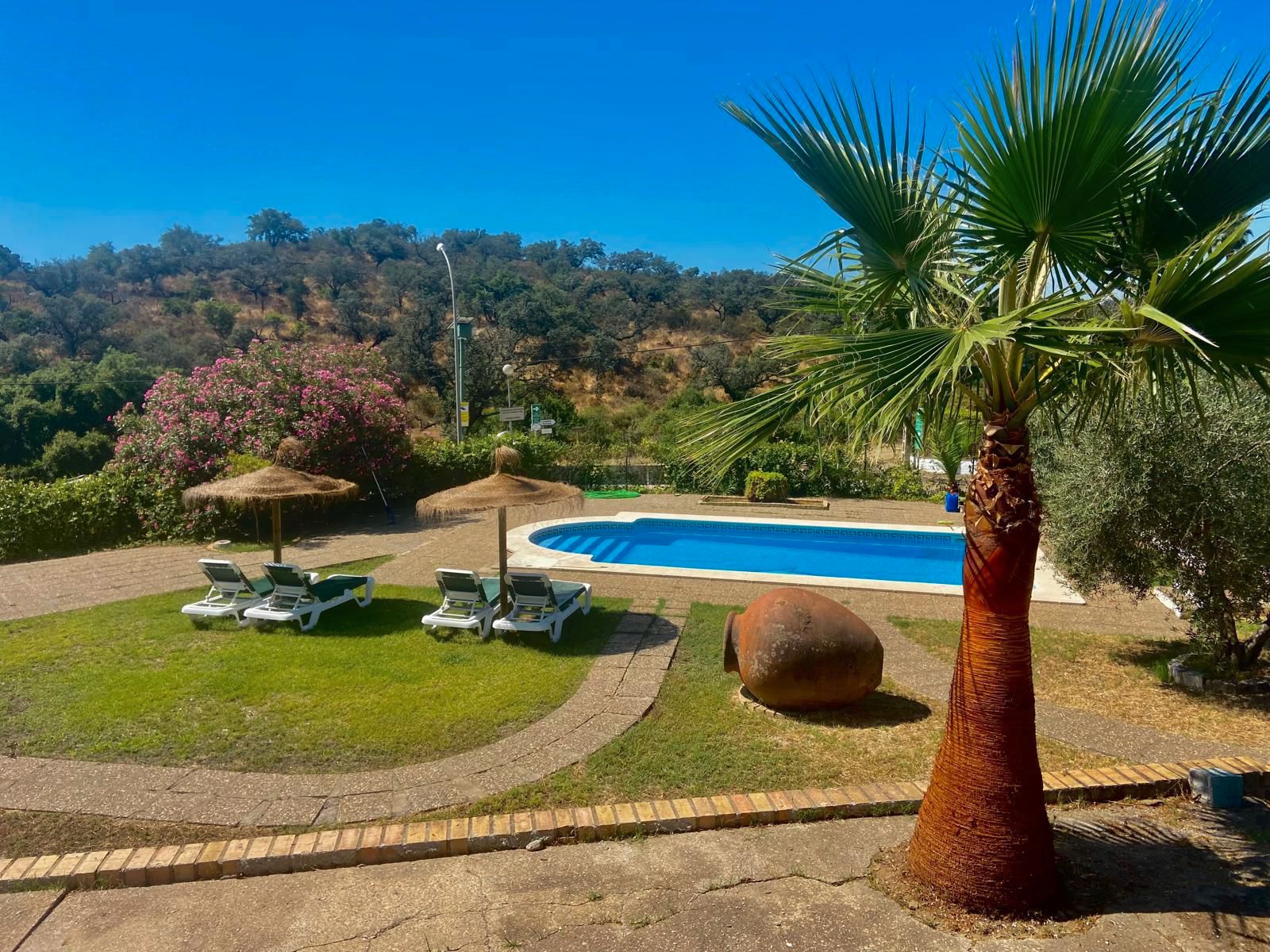 Jardí de Casa o xalet en venda en Guillena amb Calefacció, Jardí privat i Terrassa