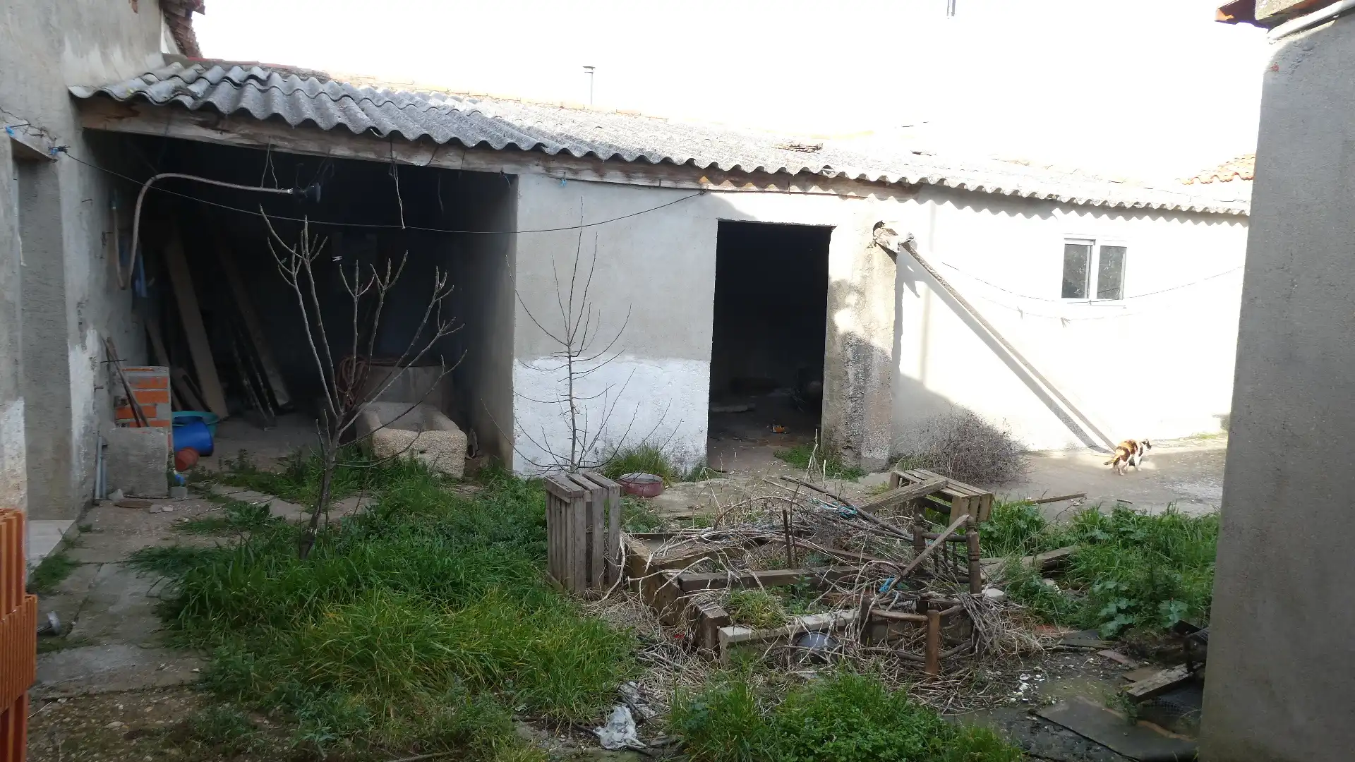 Houses for sale in Palacios del Pan