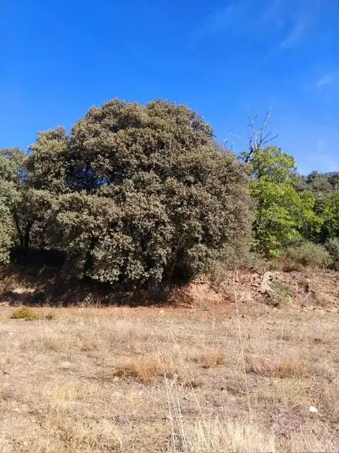 Country homes for sale in Pórtugos