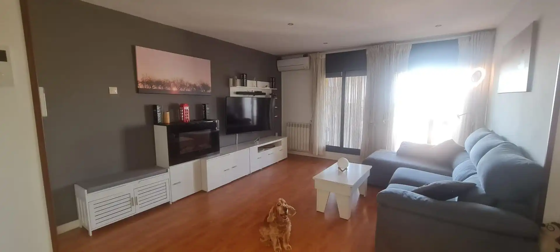 Sala de estar de Piso en venta en Anglesola