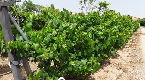 Foto 5 de Casa o xalet en venda a Fuente El Saz de Jarama, Madrid
