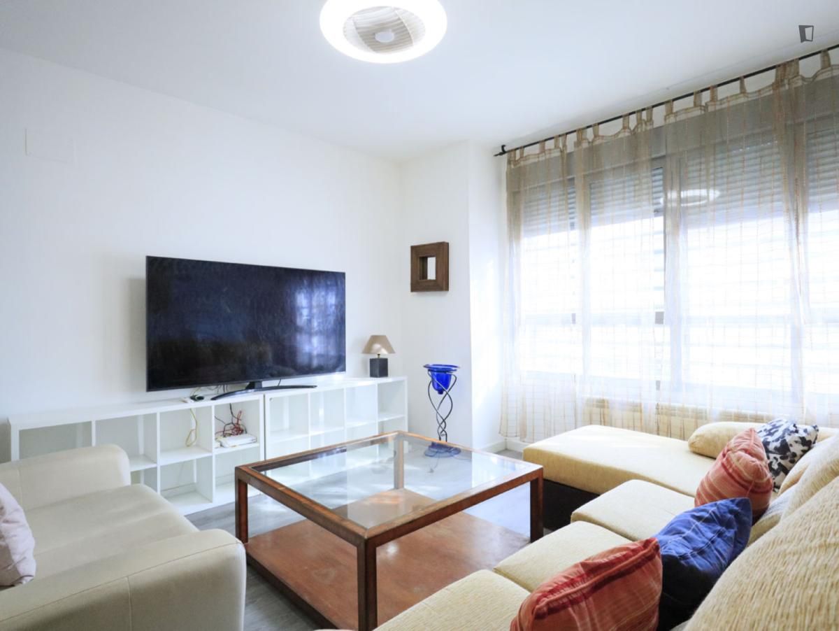 Living room of Apartment to rent in  Madrid Capital  with Heating, Furnished and Oven