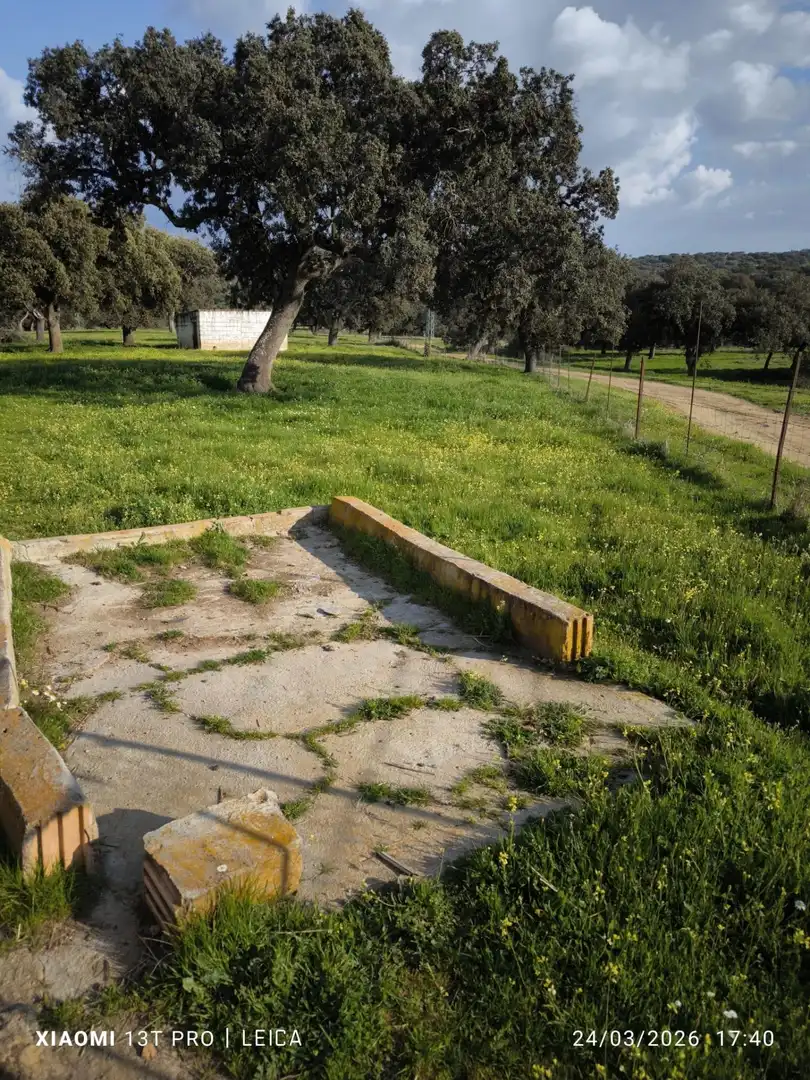 Jardí de Residencial en venda en Fuente Obejuna