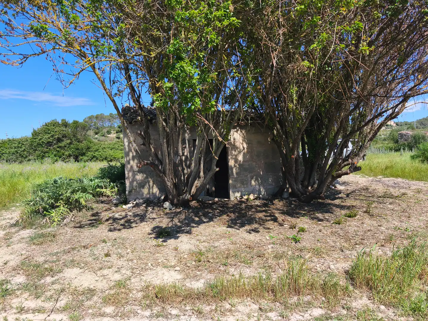 Terreno rustico in vendita a Maria de la Salut, imagen 2