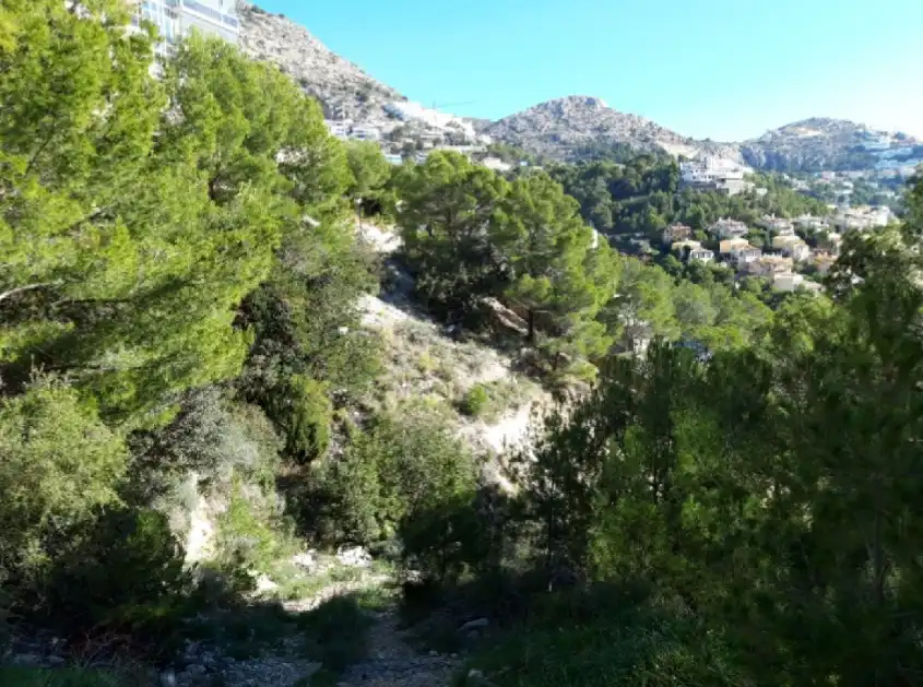 Terreny residencial en venda a SUIZA, PARCELA AH, 624, imagen 8