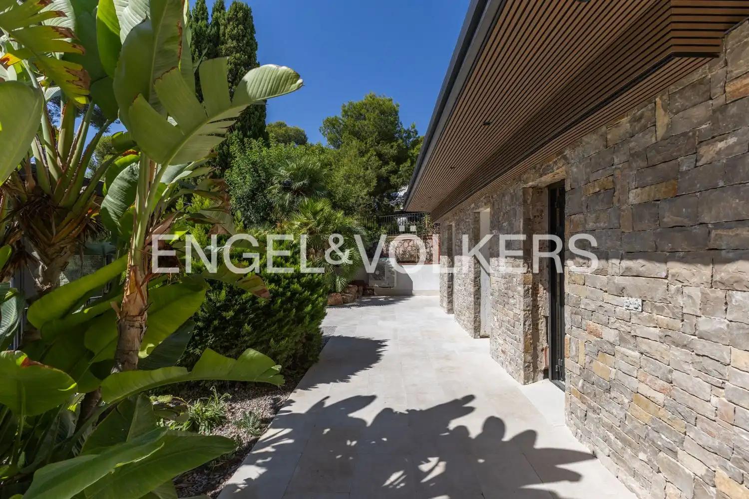 Casa o xalet de lloguer a Avinguda Acàcies, Campolivar