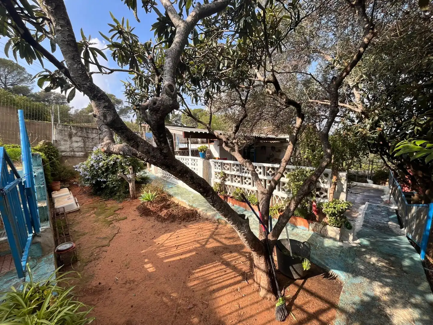 Jardín de Casa o chalet en venta en Alzira con Jardín privado, Terraza y Trastero