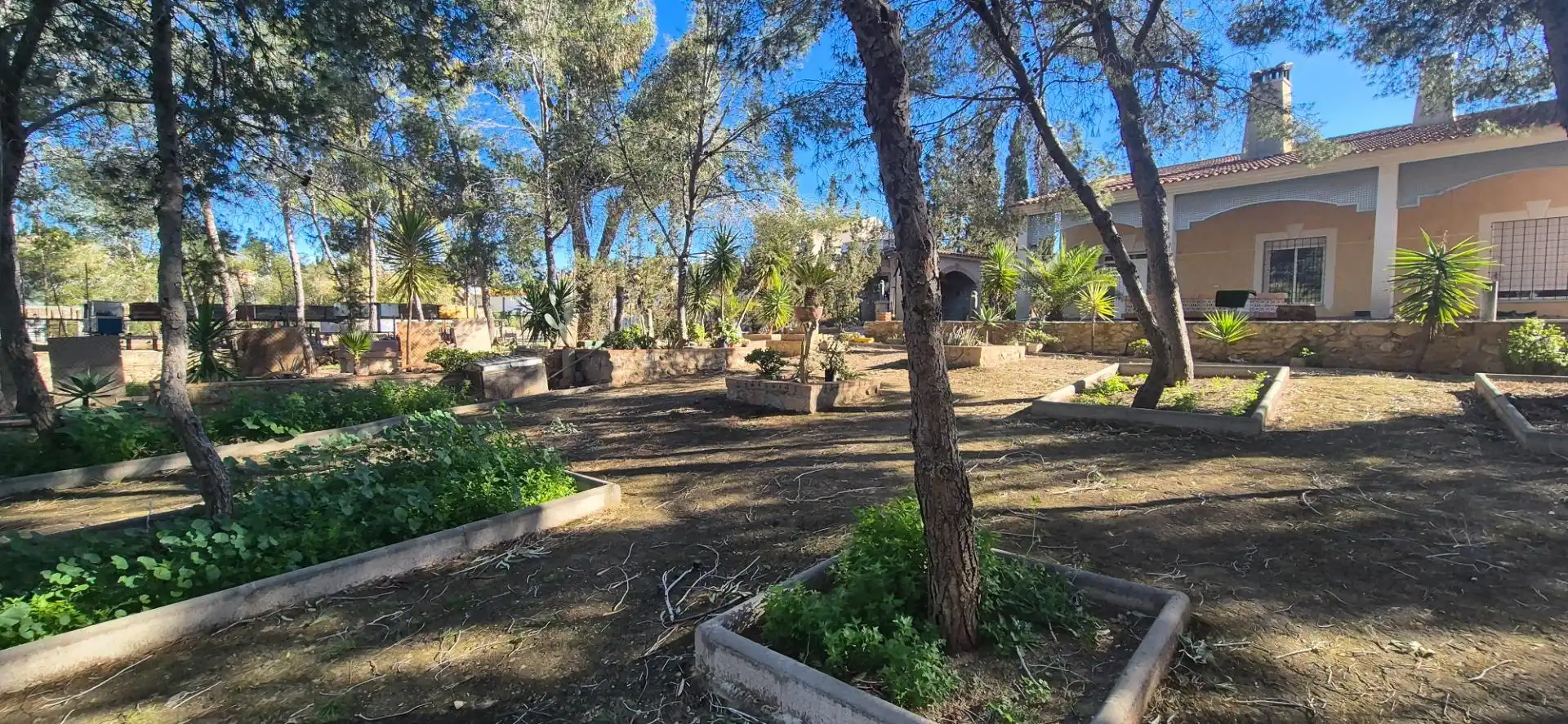 Jardí de Apartament en venda en Molina de Segura amb Jardí privat, Balcó i Alarma