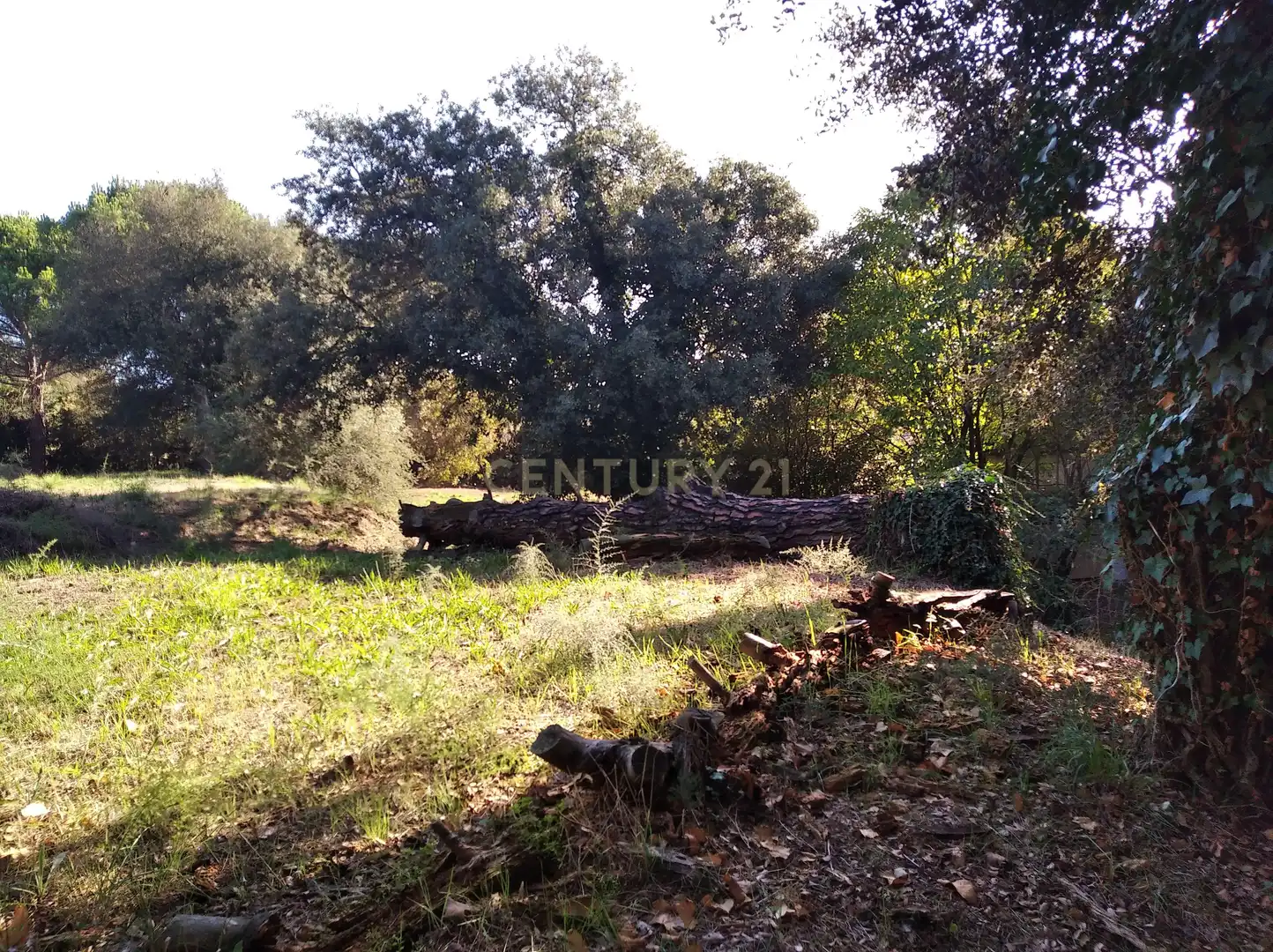 Residential land for sale in Carrer del Llinars, 6, Sant Pere de Vilamajor, Spain 6, imagen 16