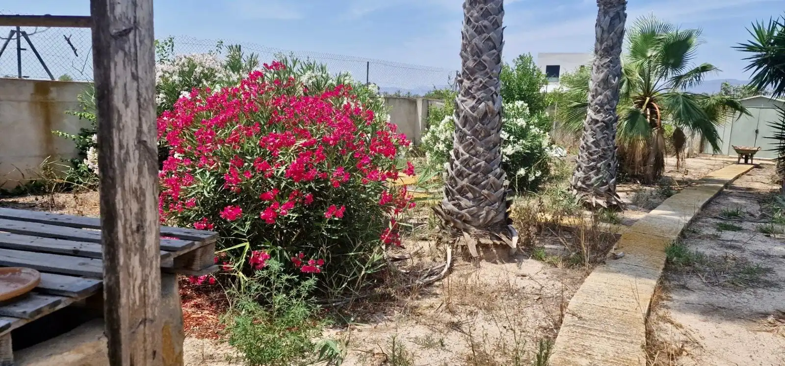 Garden of Houses for sale in Catral  with Private garden, Terrace and Swimming Pool