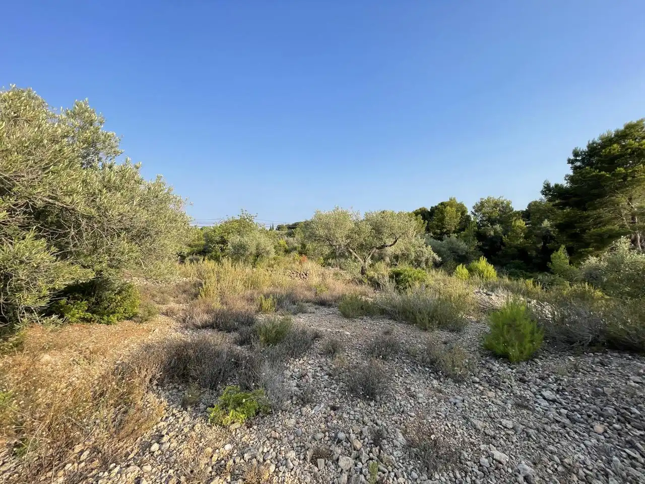 Terreno rustico in vendita a Partida Estany Tort, imagen 13