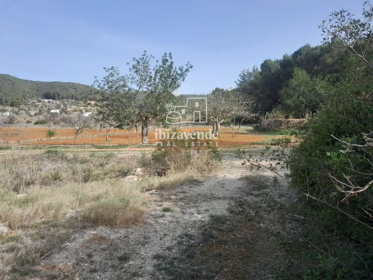 Detached house for sale in San Mateo, imagen 28