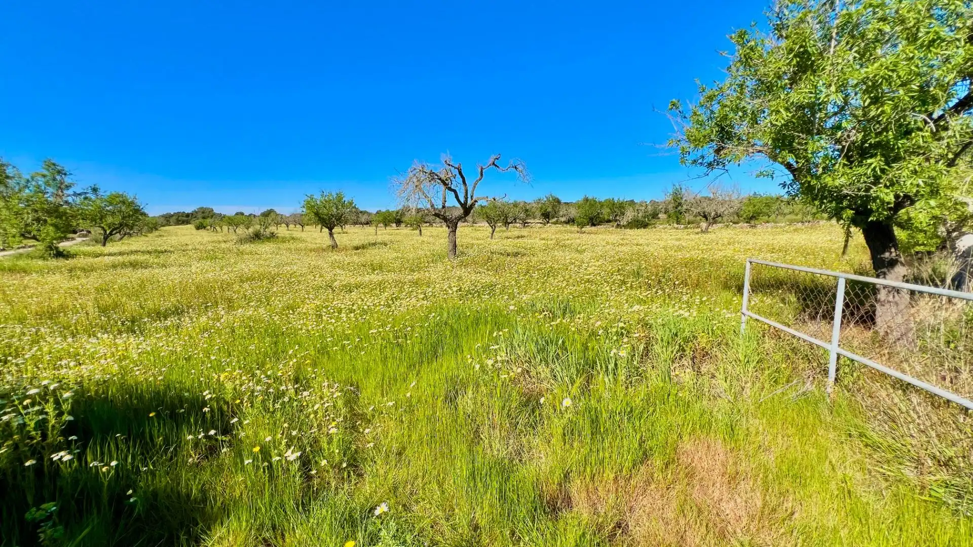 Residential for sale in Santanyí