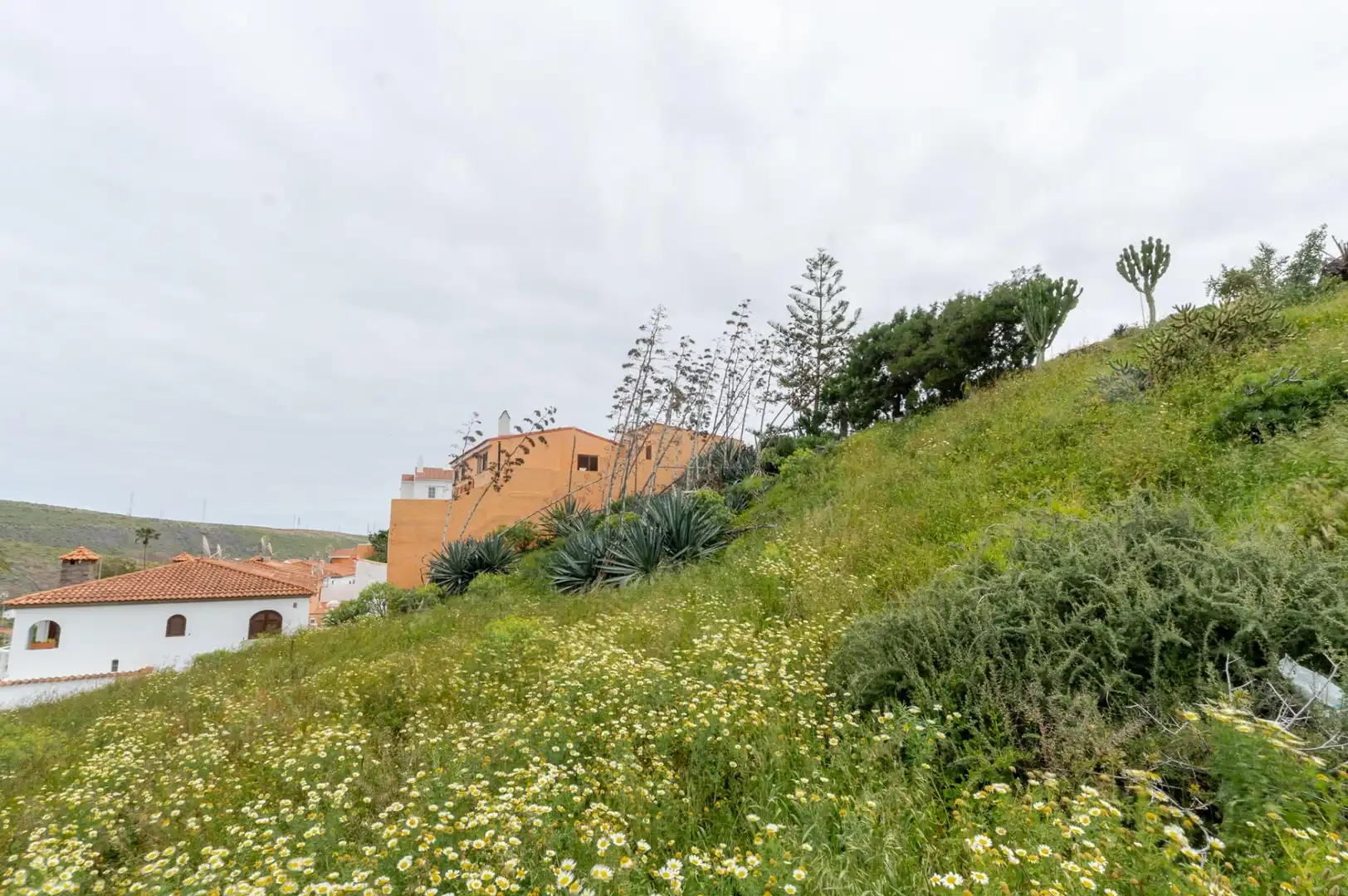 Residencial en venta en Las Palmas de Gran Canaria