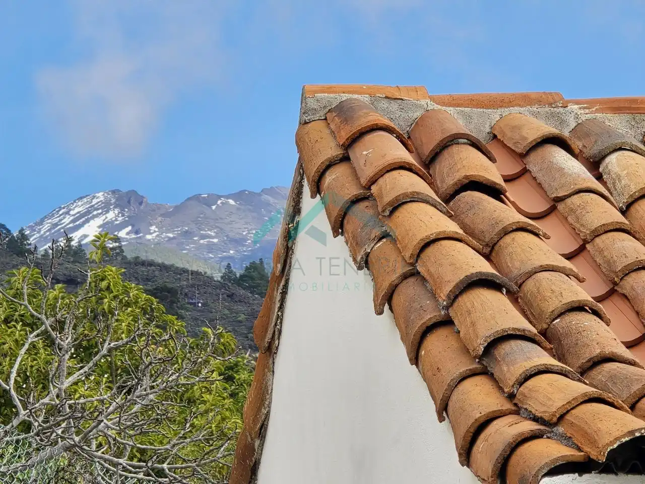 Vista exterior de Finca rústica en venda en Guía de Isora amb Jardí privat i Moblat