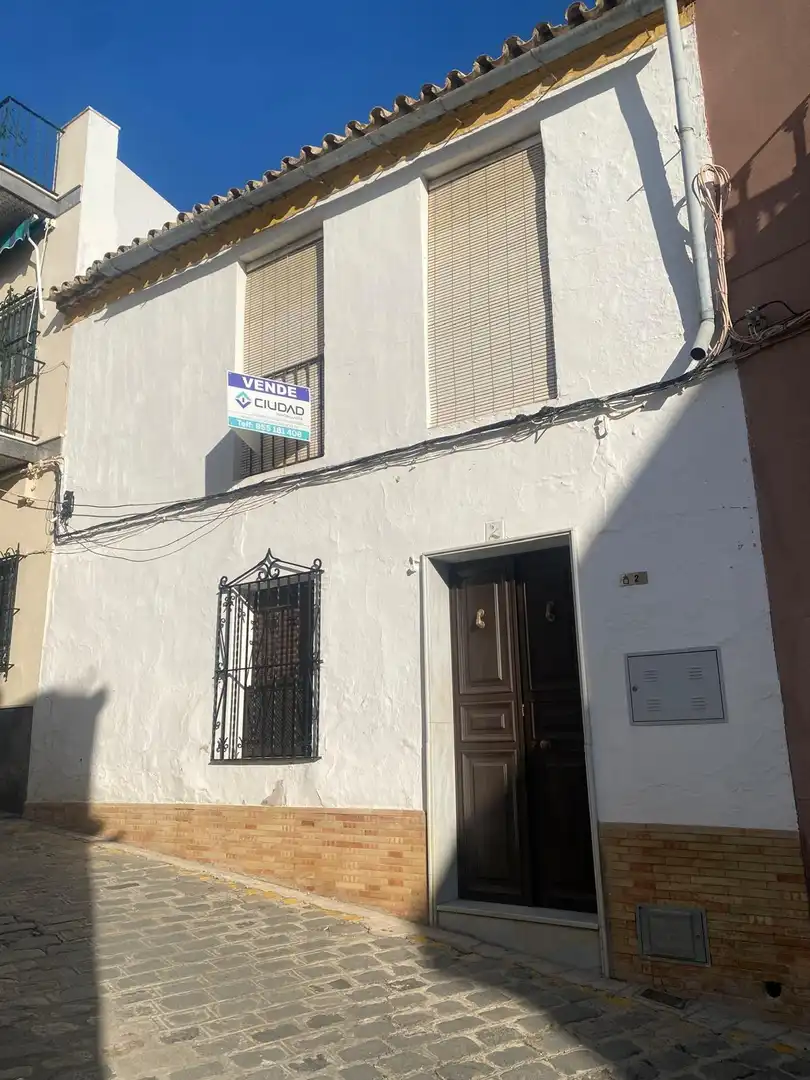 Exterior view of Houses for sale in Morón de la Frontera