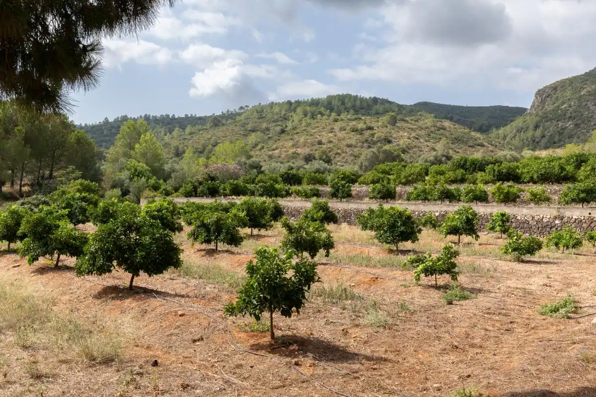Casa o chalet en venta en Montesa con Calefacción, Jardín privado y Terraza