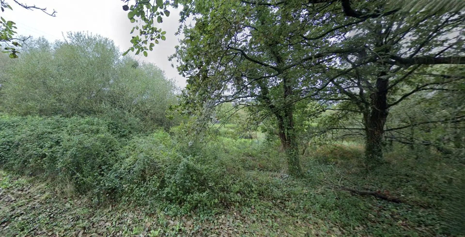 Lands and plots for sale in Santa María de Getxo, imagen 25