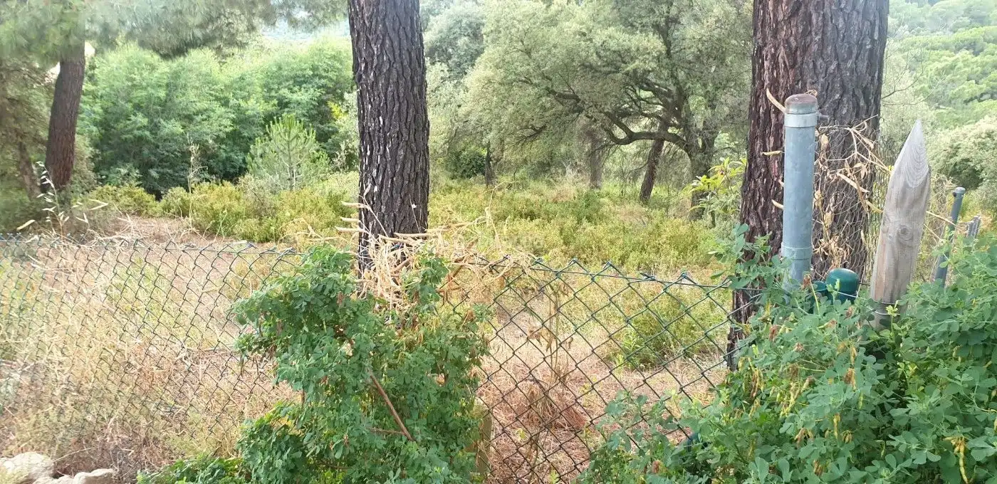 Lands and plots for sale in Canyamars, imagen 4