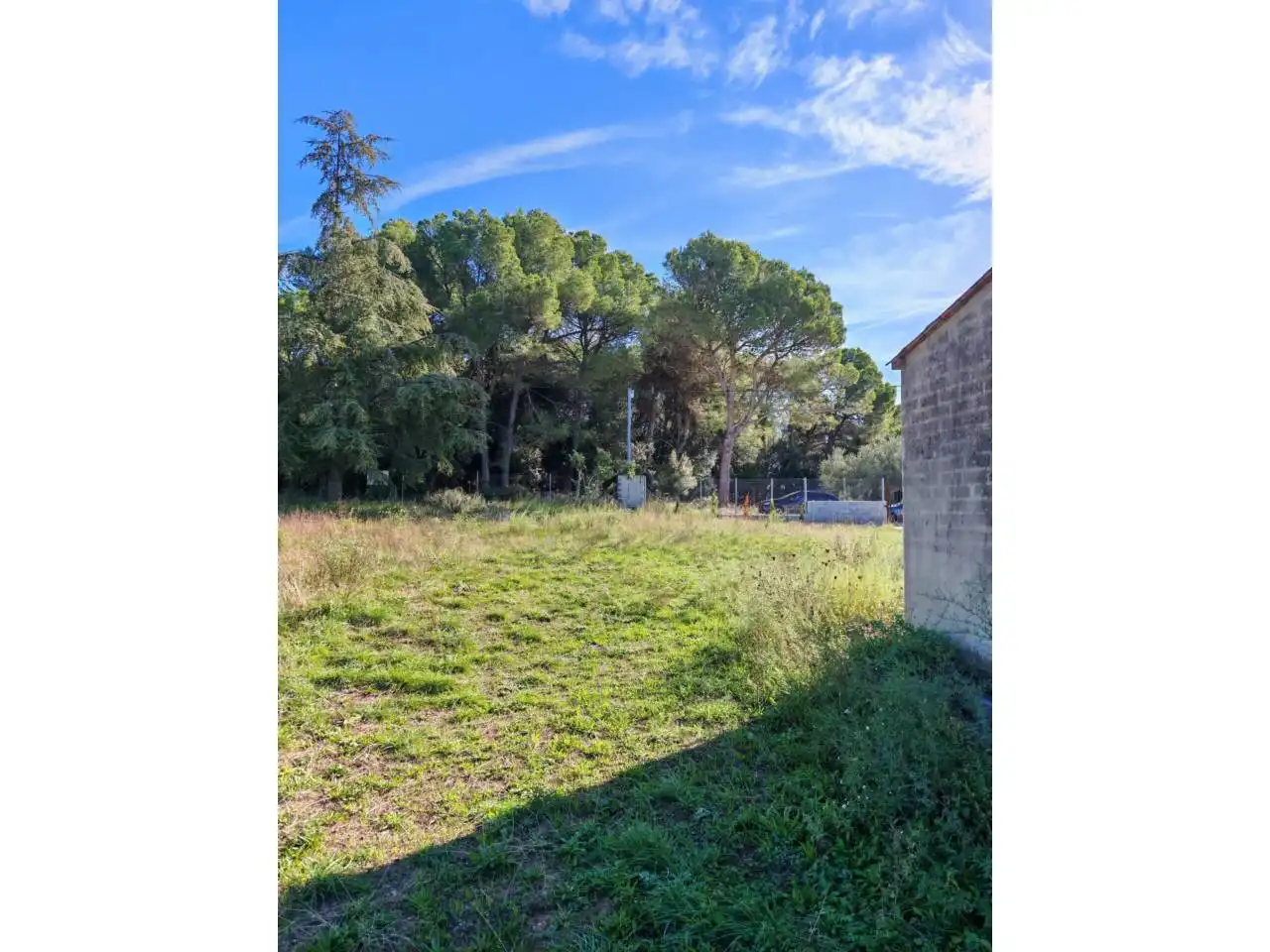Rural land for sale in Camino Dipòsit, imagen 7
