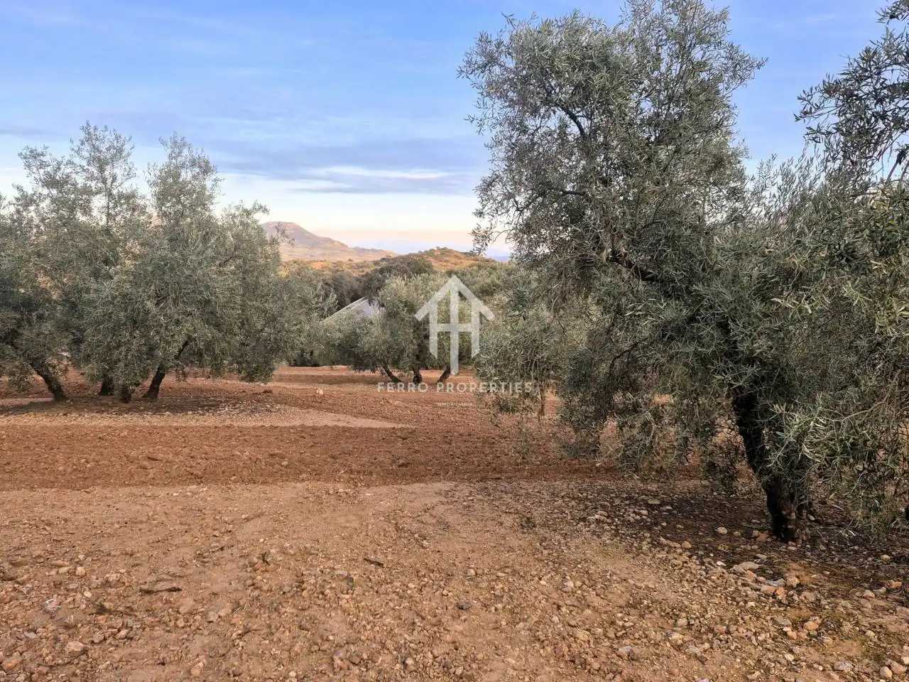 Terreny rústic en venda a Poligono ventorros de laguna 1, imagen 14